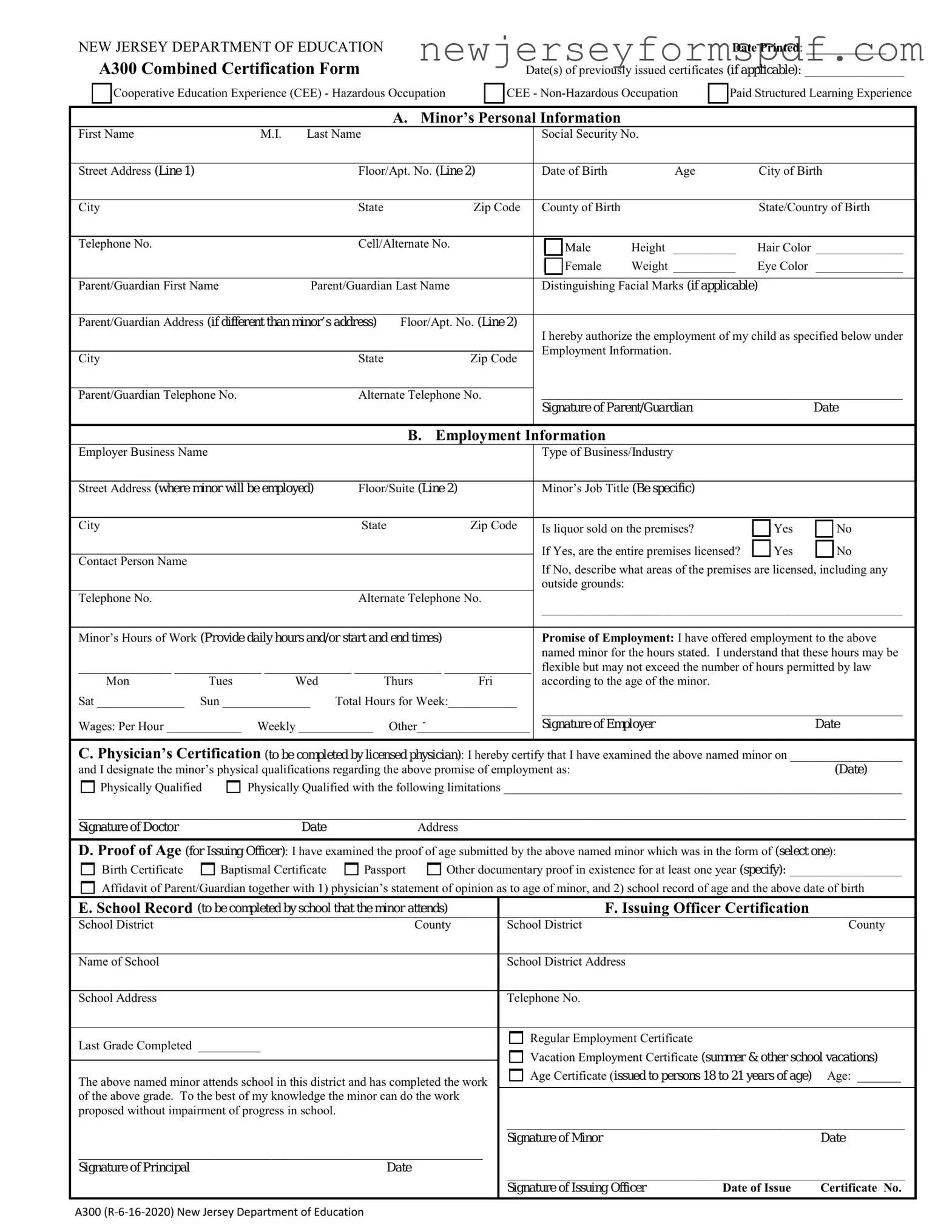 Fill Out a Valid Nj A300 Template