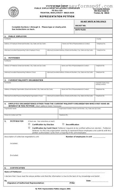 Fill Out a Valid New Jersey Representation Petition Template