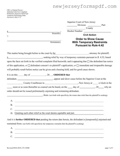 Fill Out a Valid Nj Order Show Cause Template
